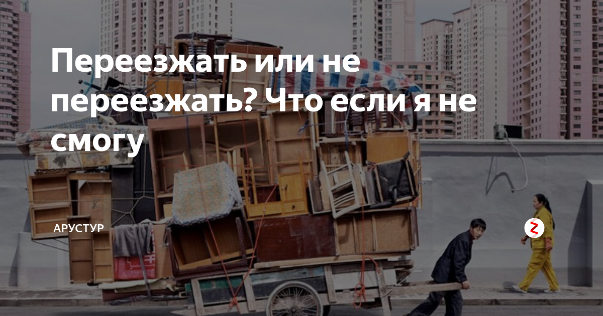 Первый день собаки в новом доме