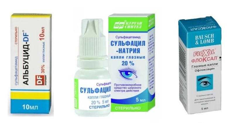 Можно ли капать собаке альбуцид в глаза? опасные для животных глазные капли