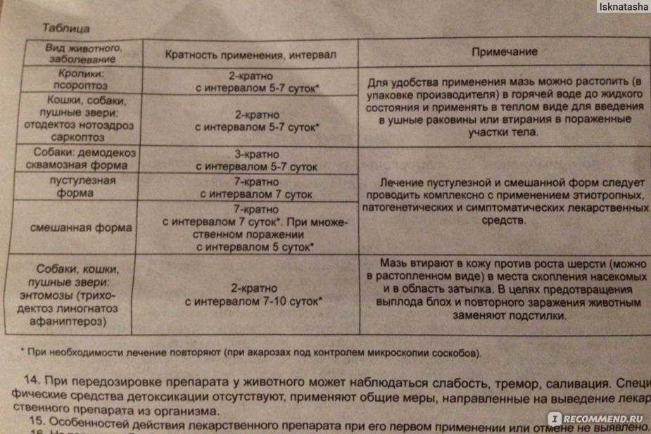 Аверсектиновая мазь для попугаев: инструкция по применению, как мазать