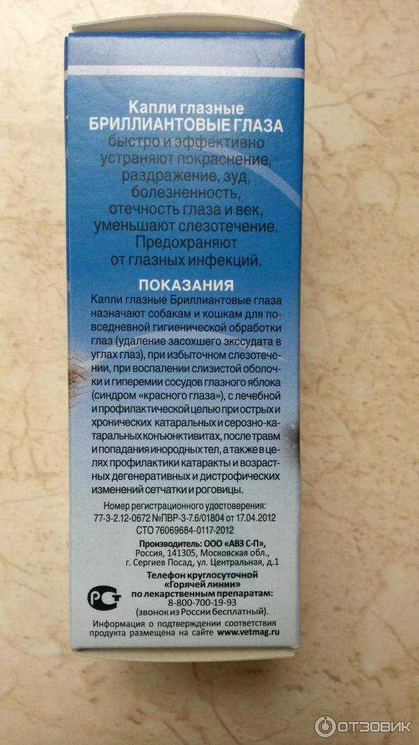 Почему у котенка гноятся глаза: причины, что делать и как лечить