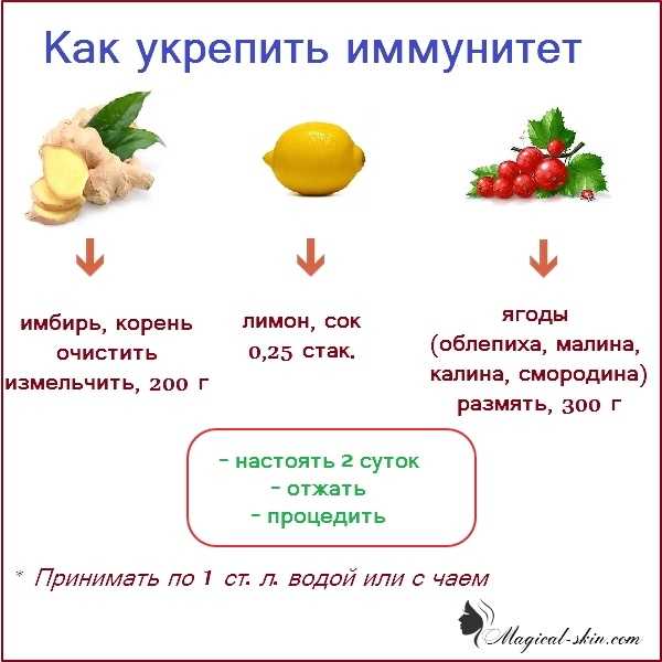 Отвечаем на главные вопросы про собачий иммунитет - круглосуточная ветеринарная клиника вет-дух