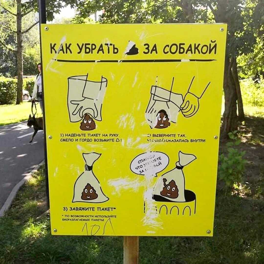 Уборка за собакой - три вещи, которые вам нужно знать