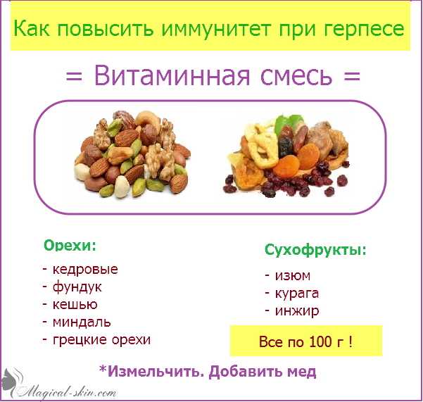 Профилактика заболеваний у домашних кошек и собак. обработка от паразитов и вакцинация домашних животных