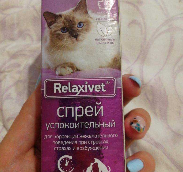 Успокоительные для кошек: обзор препаратов и их эффективность