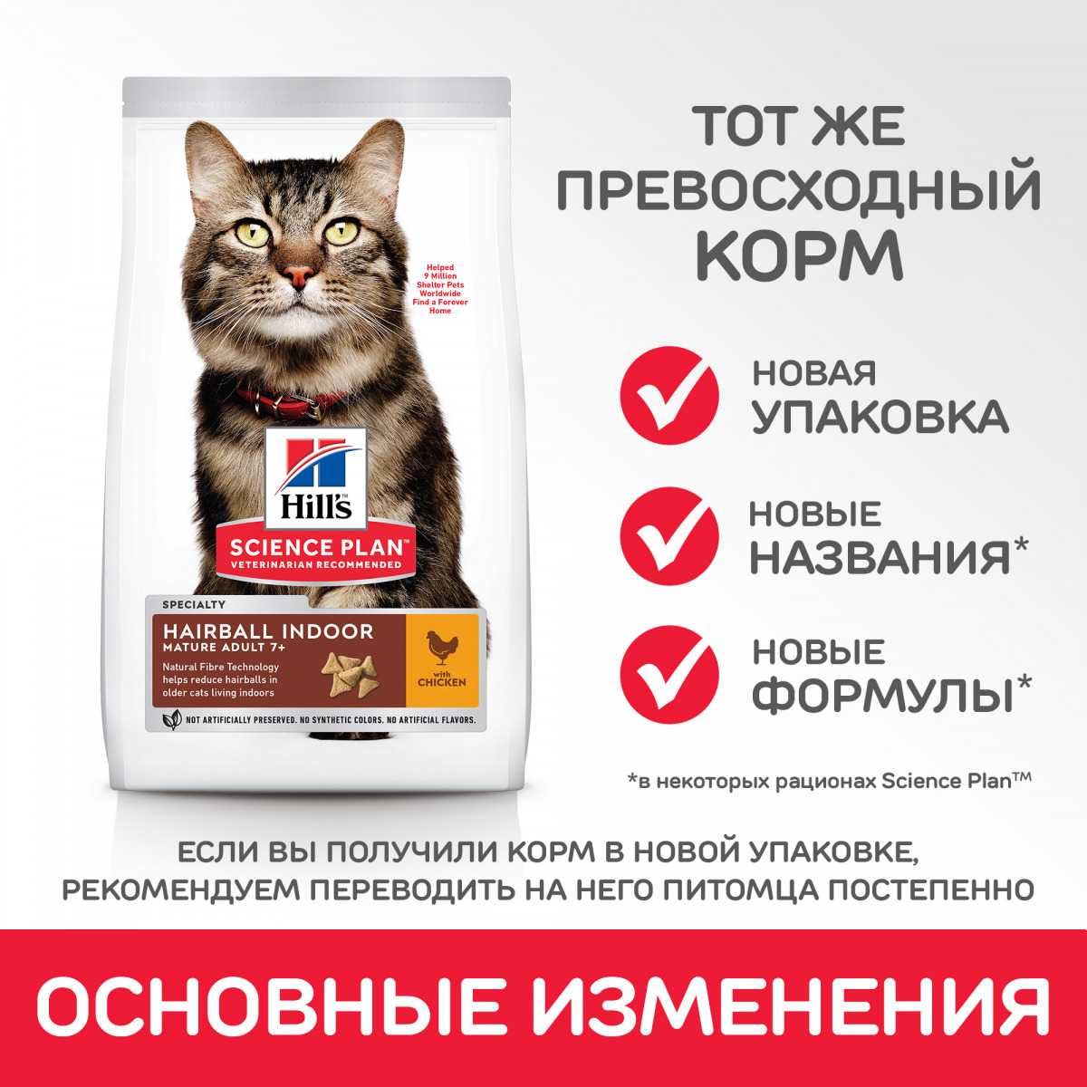 Шерсть в желудке у кошки - как вывести и в чем опасность
