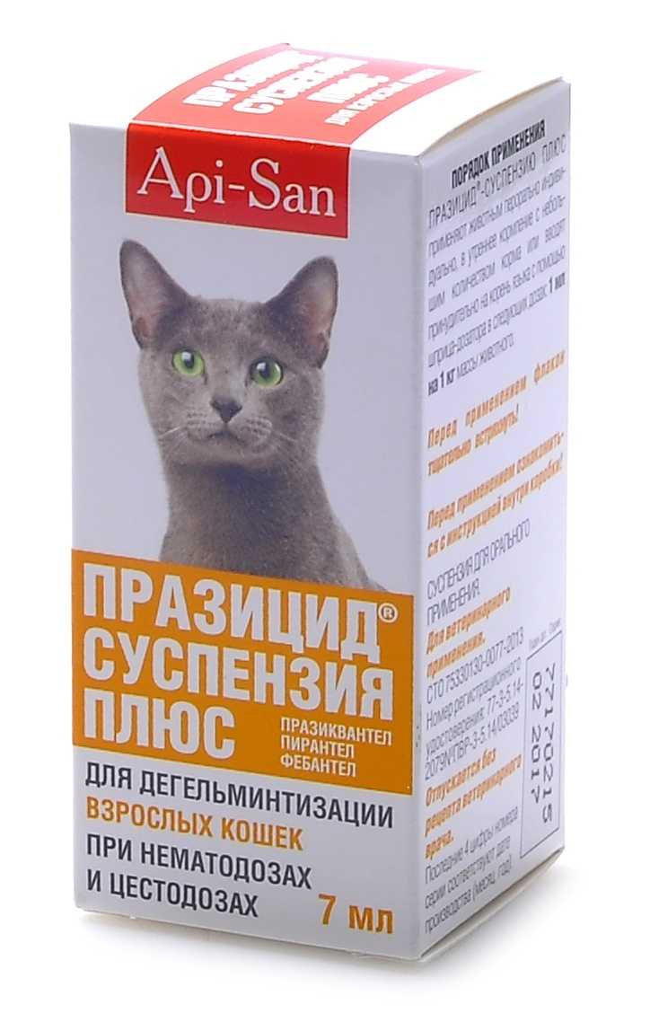 Средства от глистов для кошек (таблетки, суспензии и капли): топ рейтинг самых эффективных средств для борьбы с гельминтами в 2021 году