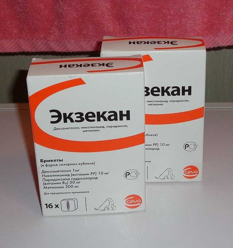 Гискан 5 сыворотка для собак инструкция куда колоть - большая энциклопедия инструкций и руководств