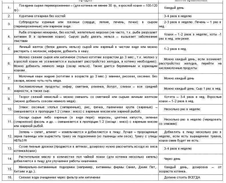 Кормление котёнка от 3 месяцев до 6 месяцев