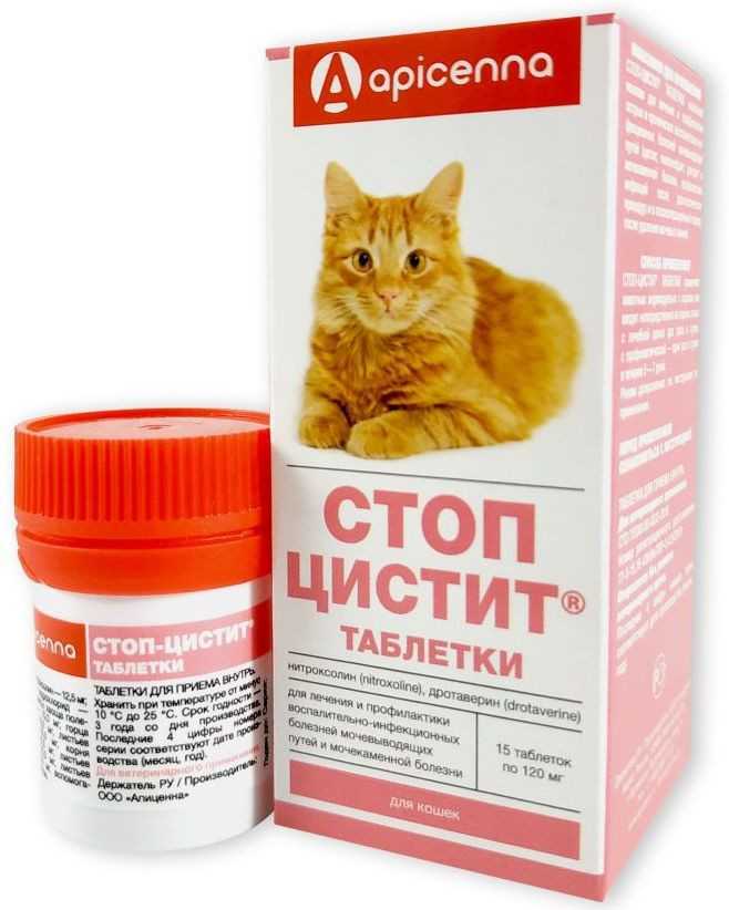 Цистон из чего состоит этот препарат каковые его показания и как он используется для лечения кошек В каких случаях его нельзя применять Есть ли у него аналоги