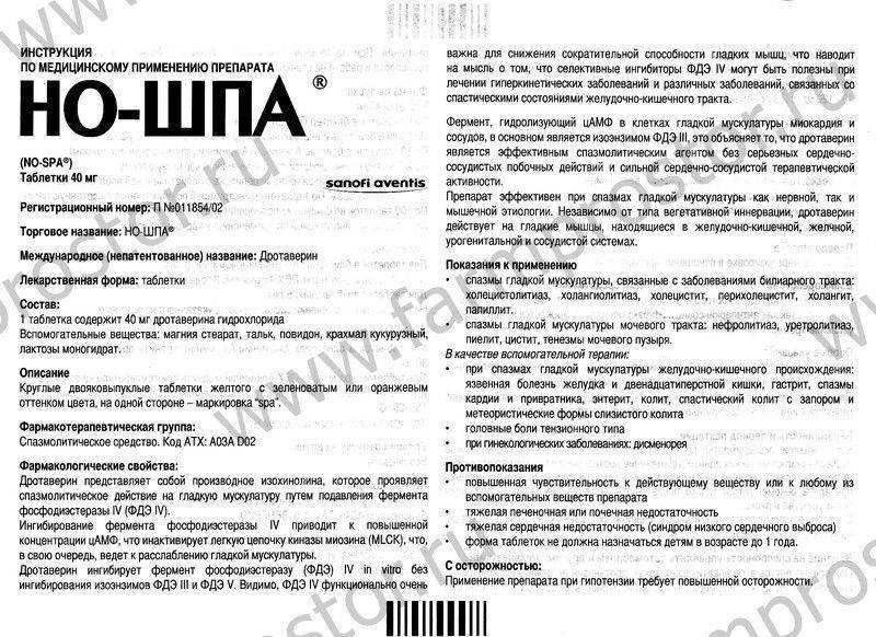 Можно ли кошкам давать но-шпу: описание, дозировка, когда назначается, кому нельзя