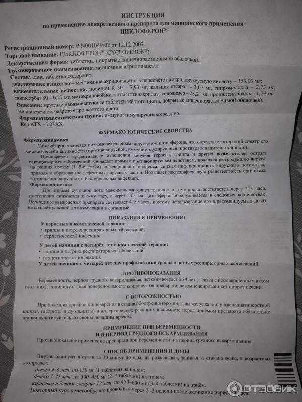 Циклоферон для кошек: дозировка, инструкция по применению