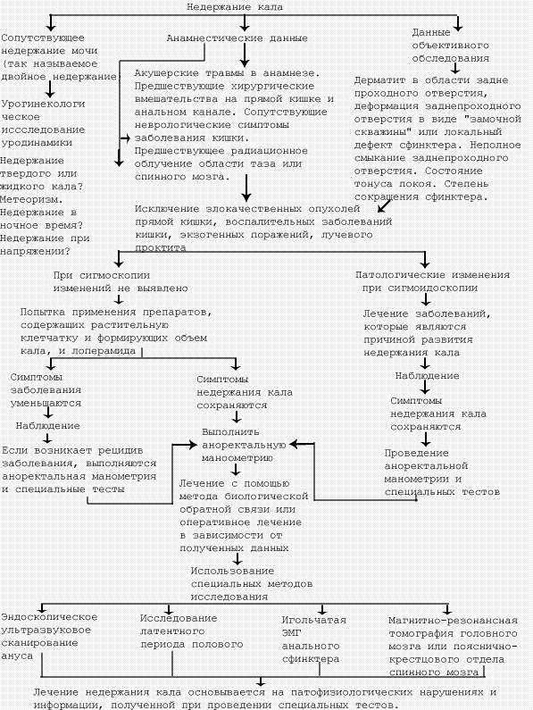 Недержание мочи у кошек | ваши питомцы