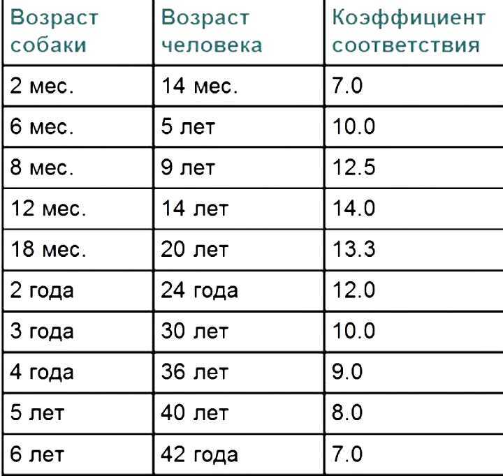Сколько живут собаки и как продлить их жизнь
