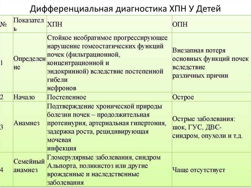 Почечная недостаточность у собак