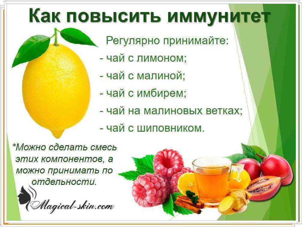 Профилактика заболеваний у домашних кошек и собак. обработка от паразитов и вакцинация домашних животных