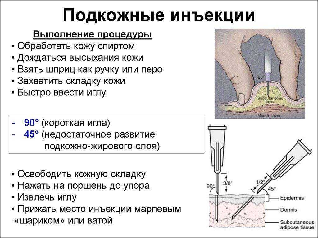 Как взвесить кошку: подробная инструкция и советы
