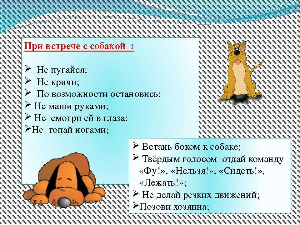 Как подружить щенка и взрослую собаку. советы для детей и родителей - собаки