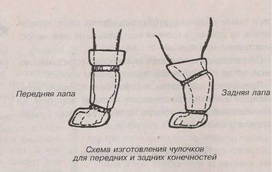 Как сделать одежду для кошки своими руками, подробная инструкция