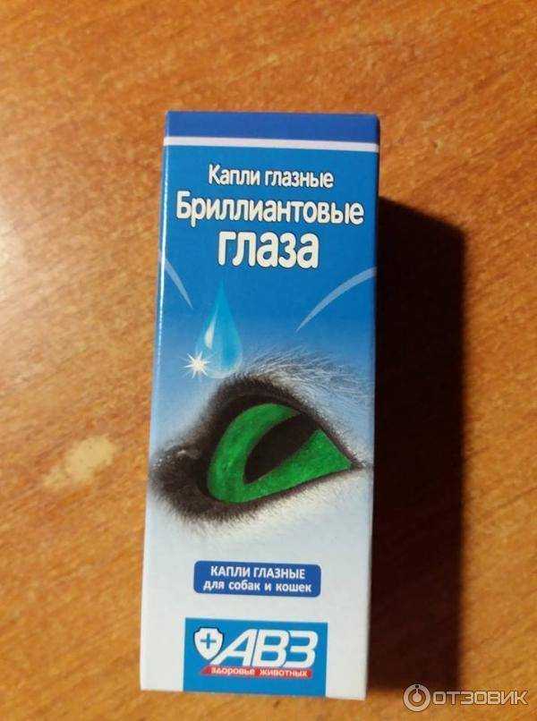 Глазные капли для кошек: список препаратов и описание