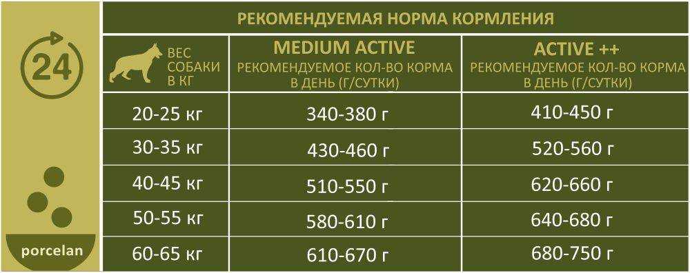 Суточный рацион собаки: нормы кормления