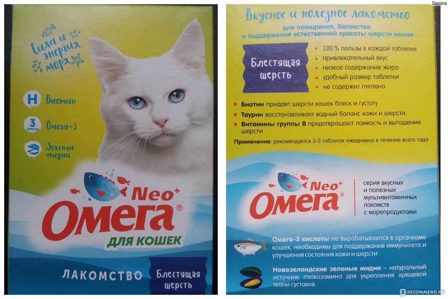 Кошки, как правильно давать кошке витамины, специализированные витаминные комплексы