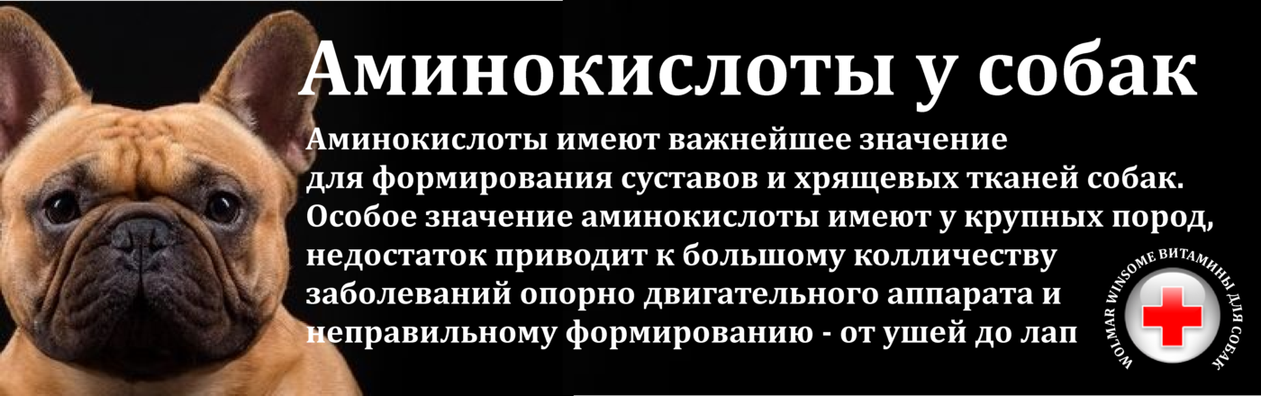 Iv. содержание и дрессировка [1986 зубко в.н. - клуб служебного собаководства]