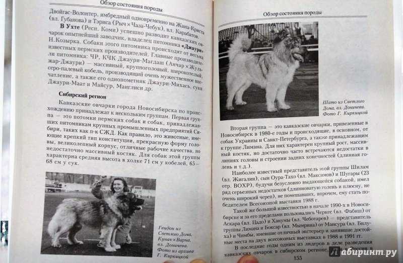 История породы норвежский бухунд Признание МКФ и стандарт породы Внешний вид и характер норвежской овчарки Условия содержания и уход Типичные болезни