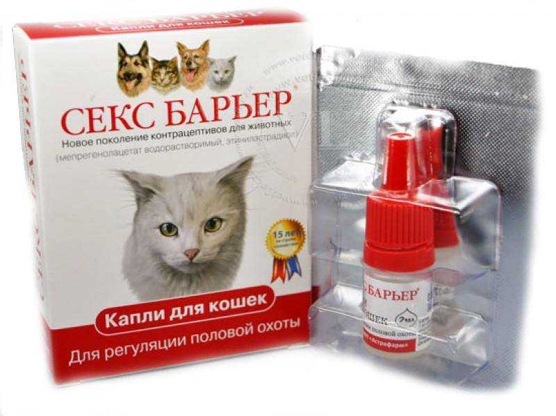 Уколы для кошек от гуляния: инъекции гормональных препаратов от течки
