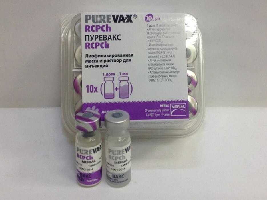Вакцина Пуревакс Purevax показания к применению Как подбирается дозировка для кошек Схема вакцинации особенности для беременных кошек и котят Отзывы