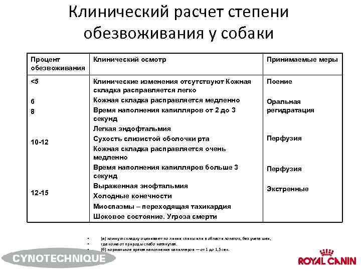 Что делать и почему собака не ест, не пьет воду и только лежит: причины и лечение щенка и пса, когда плохо питается, вялый или трясется несколько дней