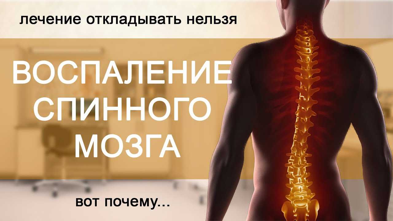 Первые признаки бешенства у кошек - как понять что у кота бешенство?