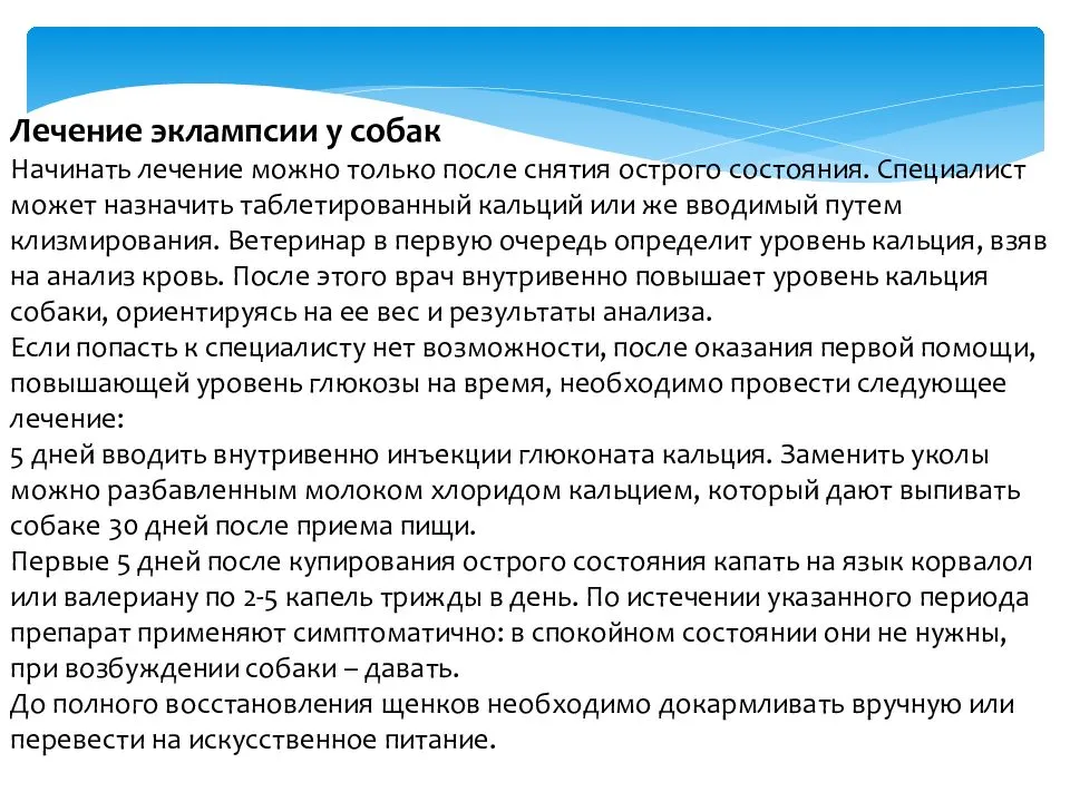 Эклампсия у собак после родов: признаки, лечение в домашних условиях, меры профилактики