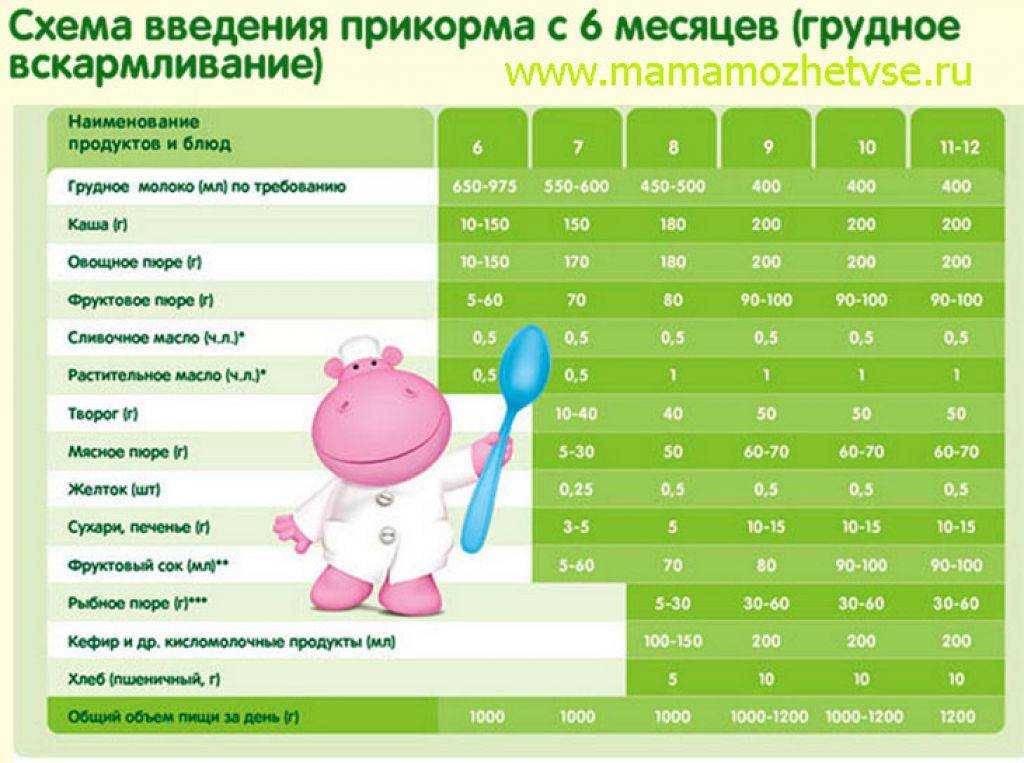 Прикорм котят: когда начинать, что давать, что запрещено