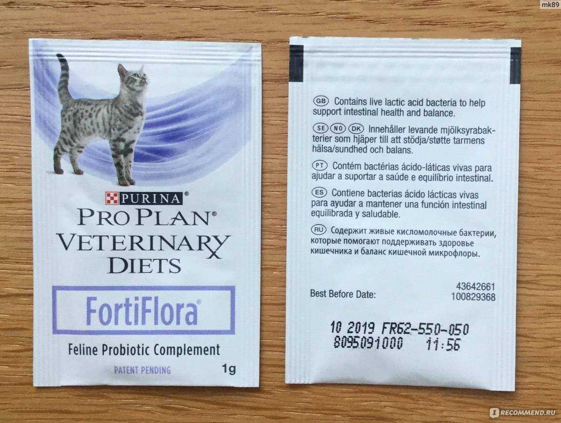 Fortiflora для собак: способ применения и дозировка