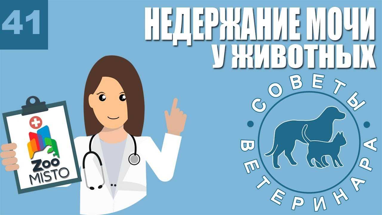 Таблетки для собак и кошек «инспектор квадро табс» от клещей и др. паразитов (инструкция)