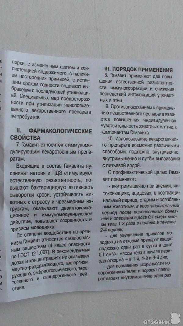 Гамавит кошке - как и куда колоть, дозировка, инструкция