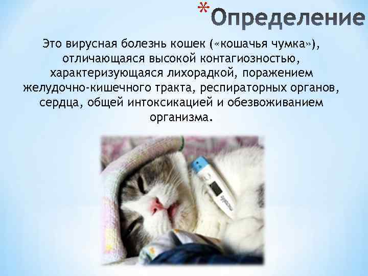 Чумка у кошек: признаки, лечение