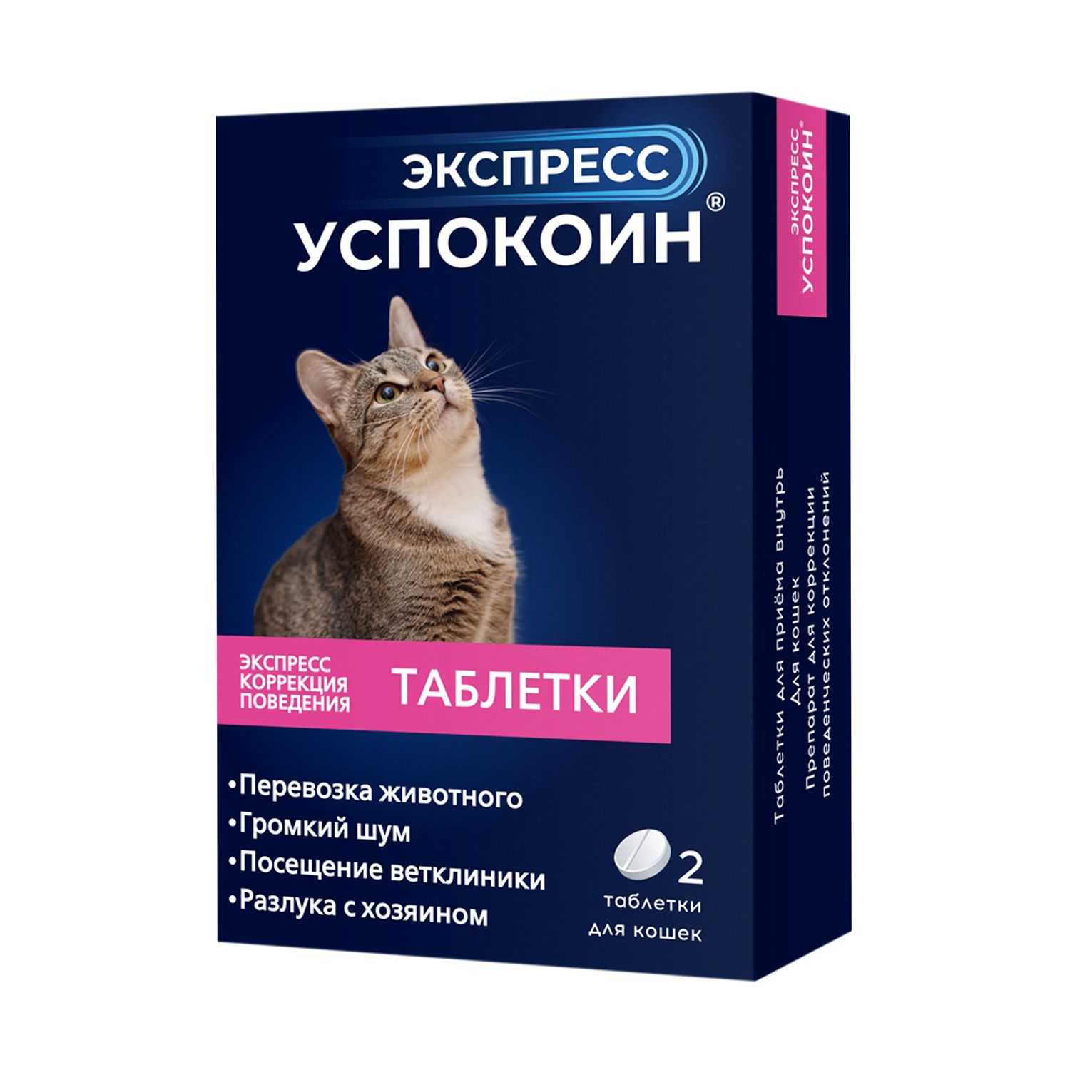 ᐉ как успокоить котенка? - ➡ motildazoo.ru