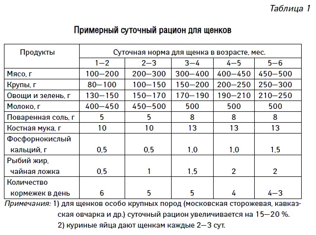 Правила кормления собак, оптимальная частота приема пищи | блог ветклиники "беланта"