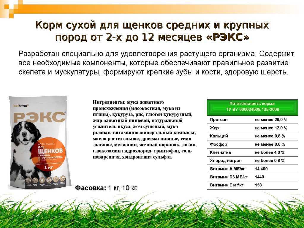 Как правильно кормить собаку сухим кормом: размер порции и инструкция по кормлению щенков, взрослых или беременных собак