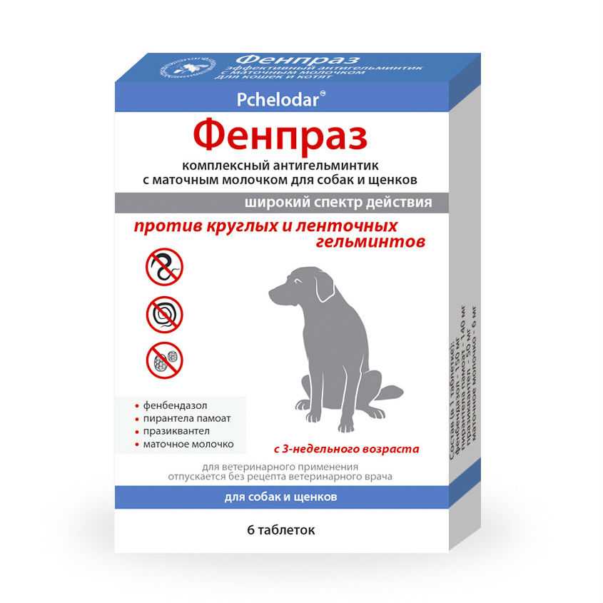 Слабительное для кошек: инструкция по лечению запора у кошки в домашних условиях