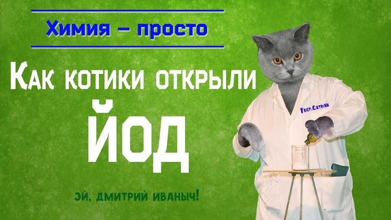 10 запахов которые ненавидят кошки?
