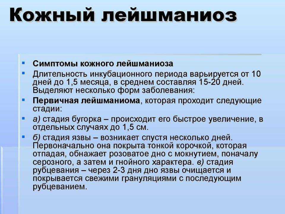 Дирофиляриоз у кошек