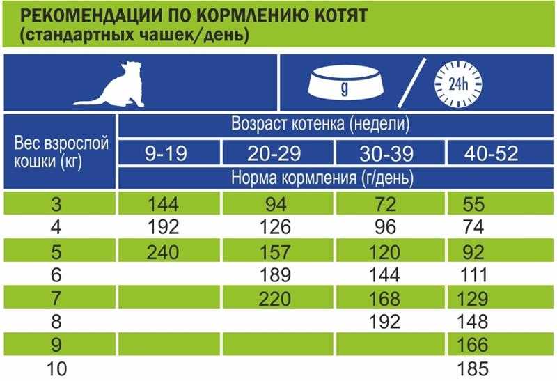 Как откормить кота