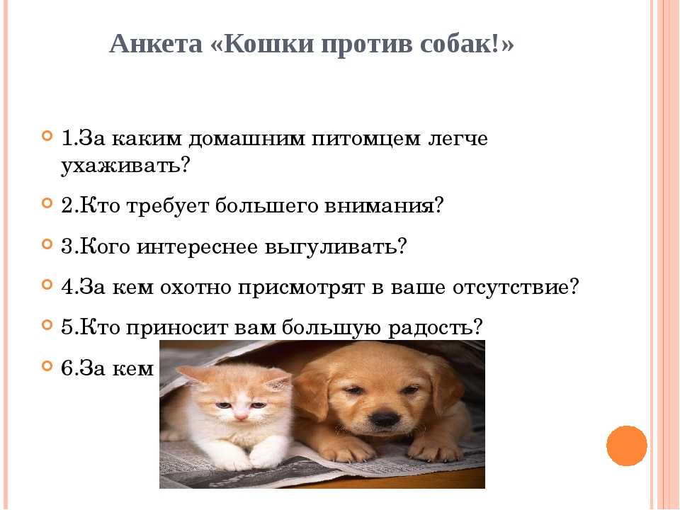 Топ-35 лучших пород собак для детей с фото | dogkind.ru