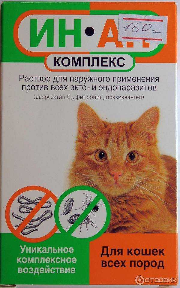 Cредства от блох для кошек: спреи, уколы, капли и др.