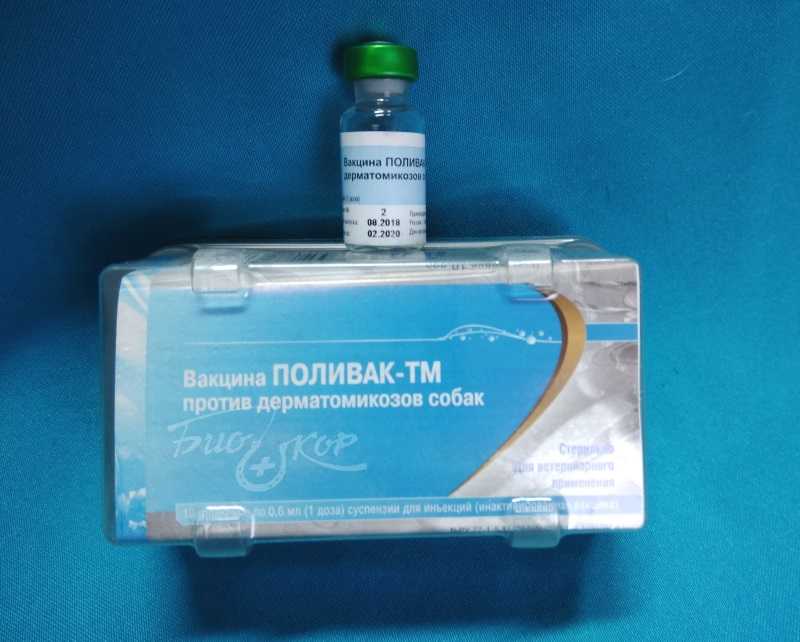 «поливак-тм»: от чего помогает, как применять для кошек