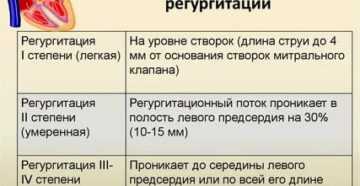 Нормально ли отрыжка у собак? - собаки 2024