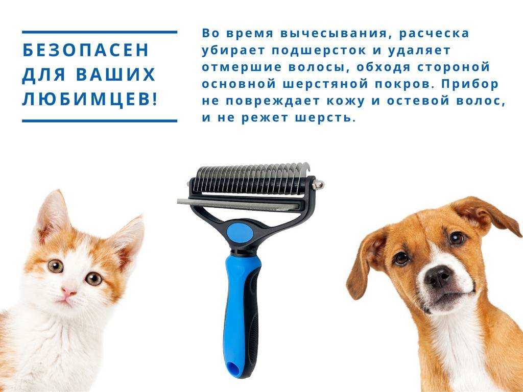 Как правильно избавить кота от колтунов