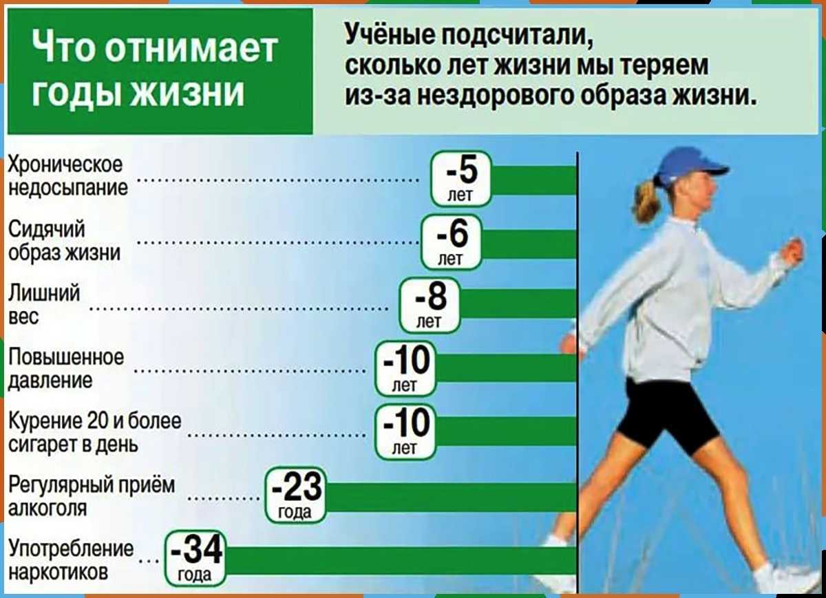 Сфинксы: особенности «инопланетных» кошек